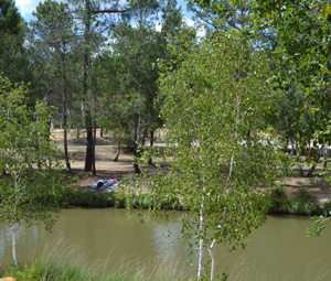 Sur les rives du lac Baron-Desqueyroux