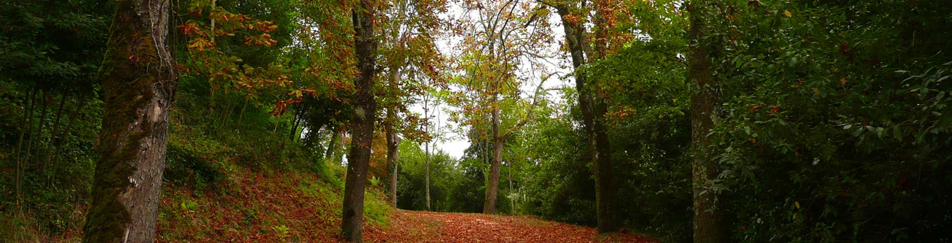 ville de montendre